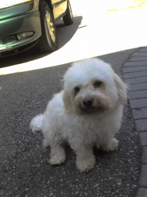 按一下觀賞整張相片